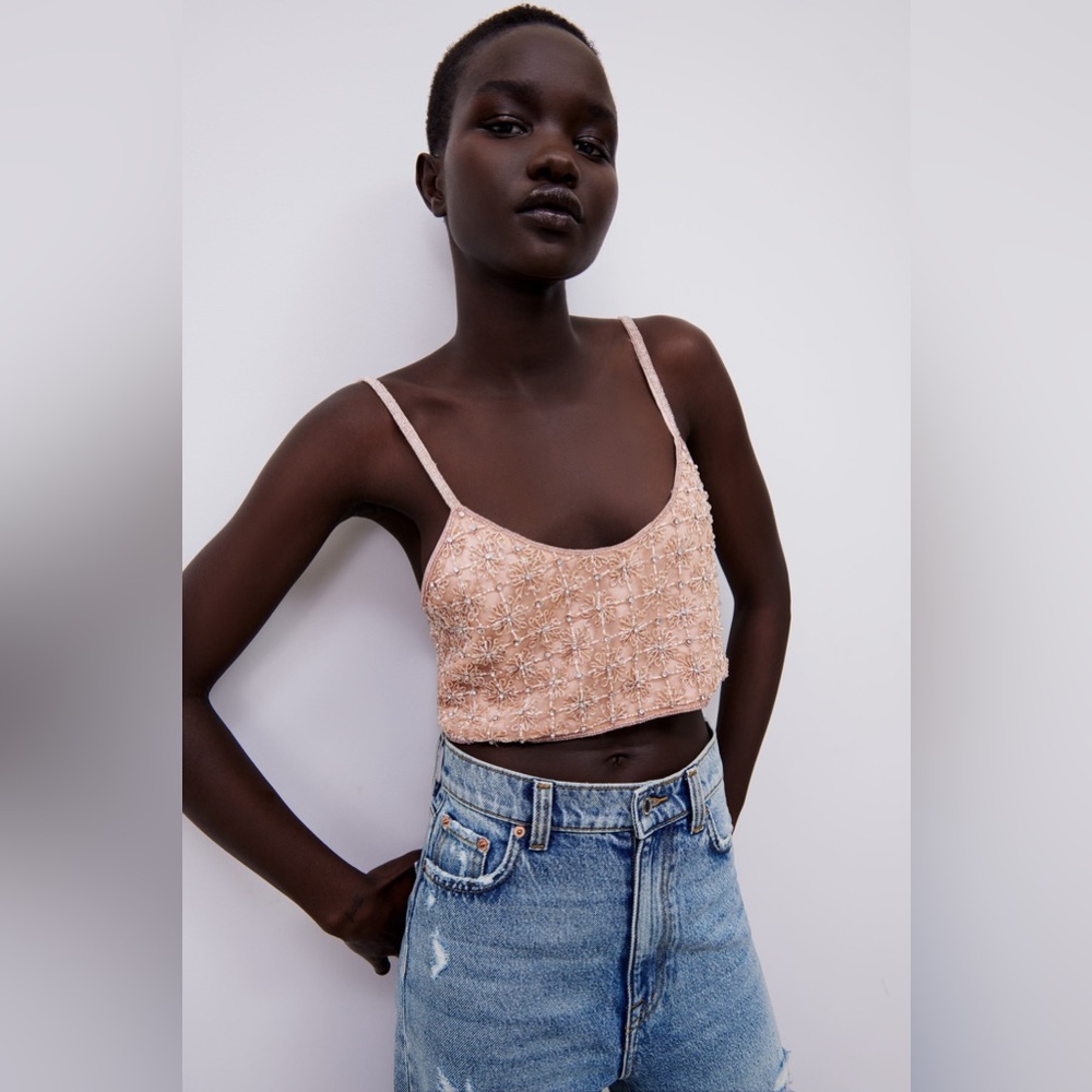 Zara Embroided Top Special Edition